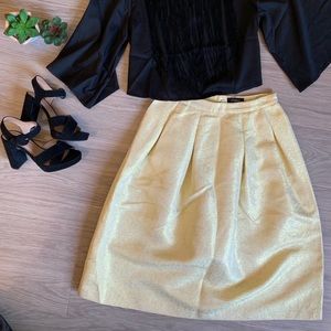 NWOT Gorgeous Shimmery Skirt